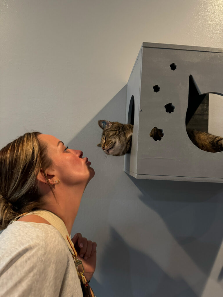 Carly Pearce making kissy face at a cat